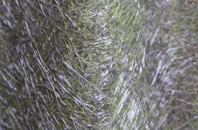 Crofts Of Haddo fibreglass roof work